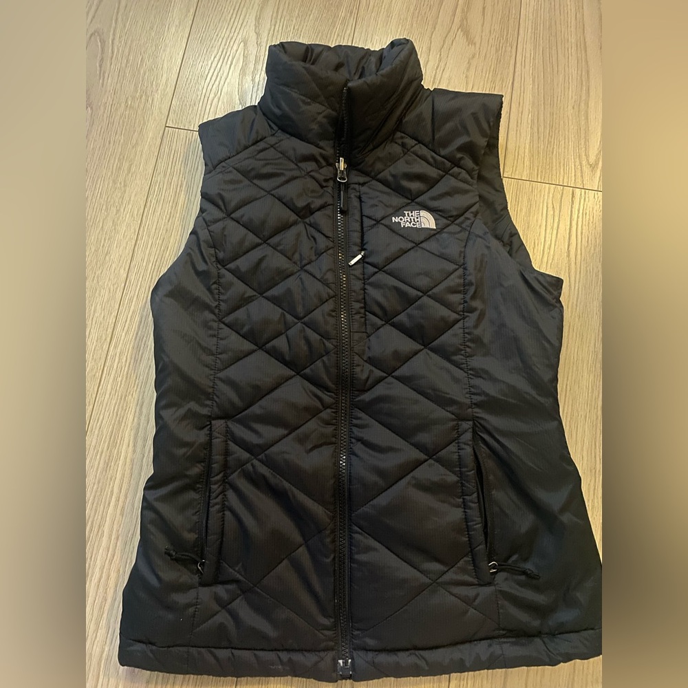 The northface vest